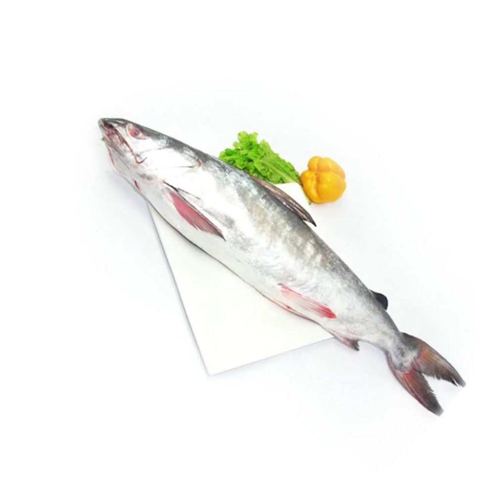ETTA FISH SMALL KG