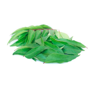CURRY LEAVES - INDIA - PACKET 