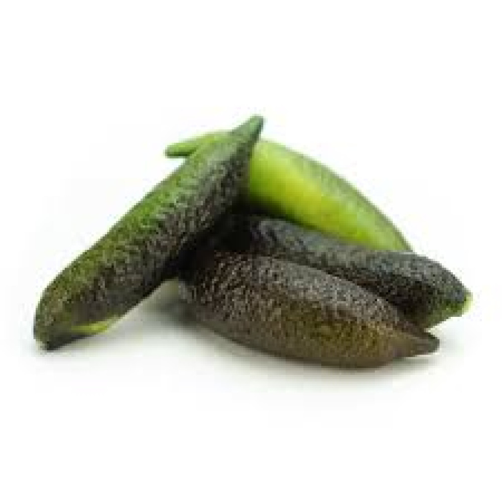 BD LIME LONG