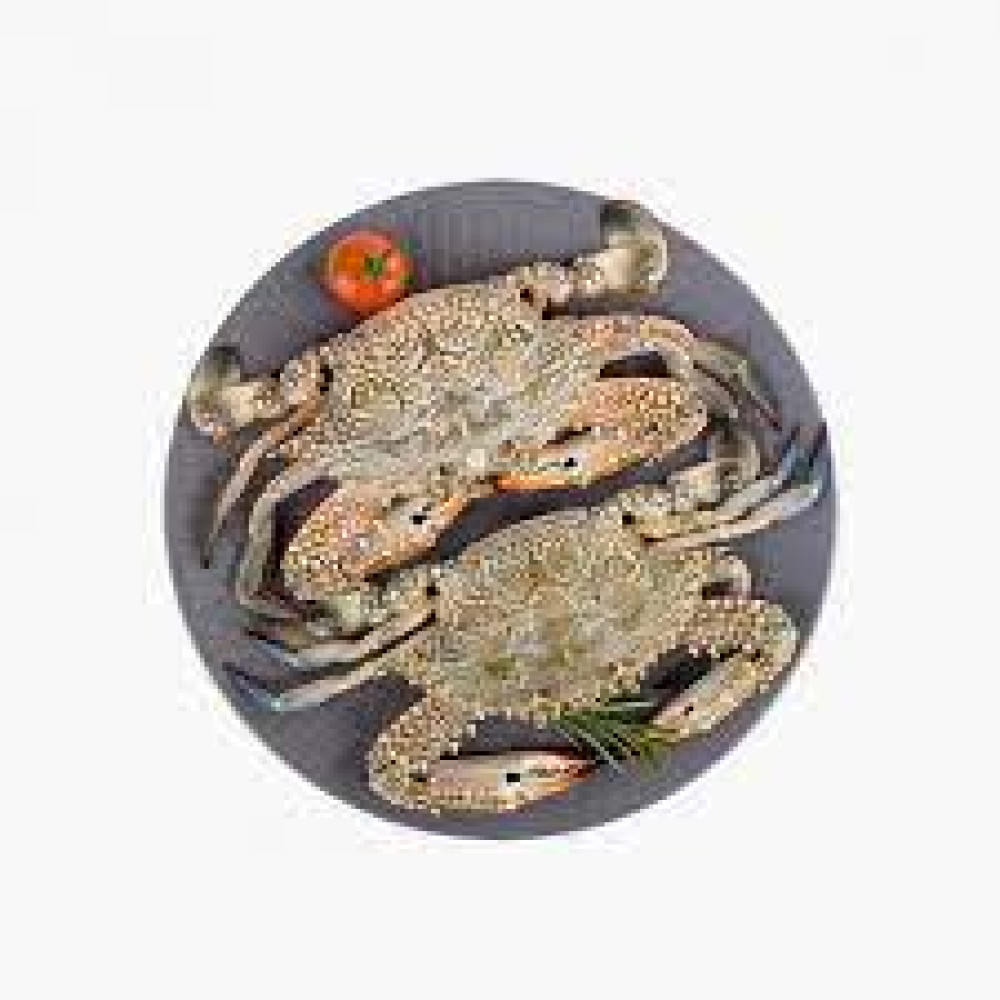 CRAB LADY BIG QATAR KG
