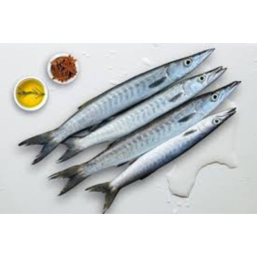 TINDA SMALL/KGS
