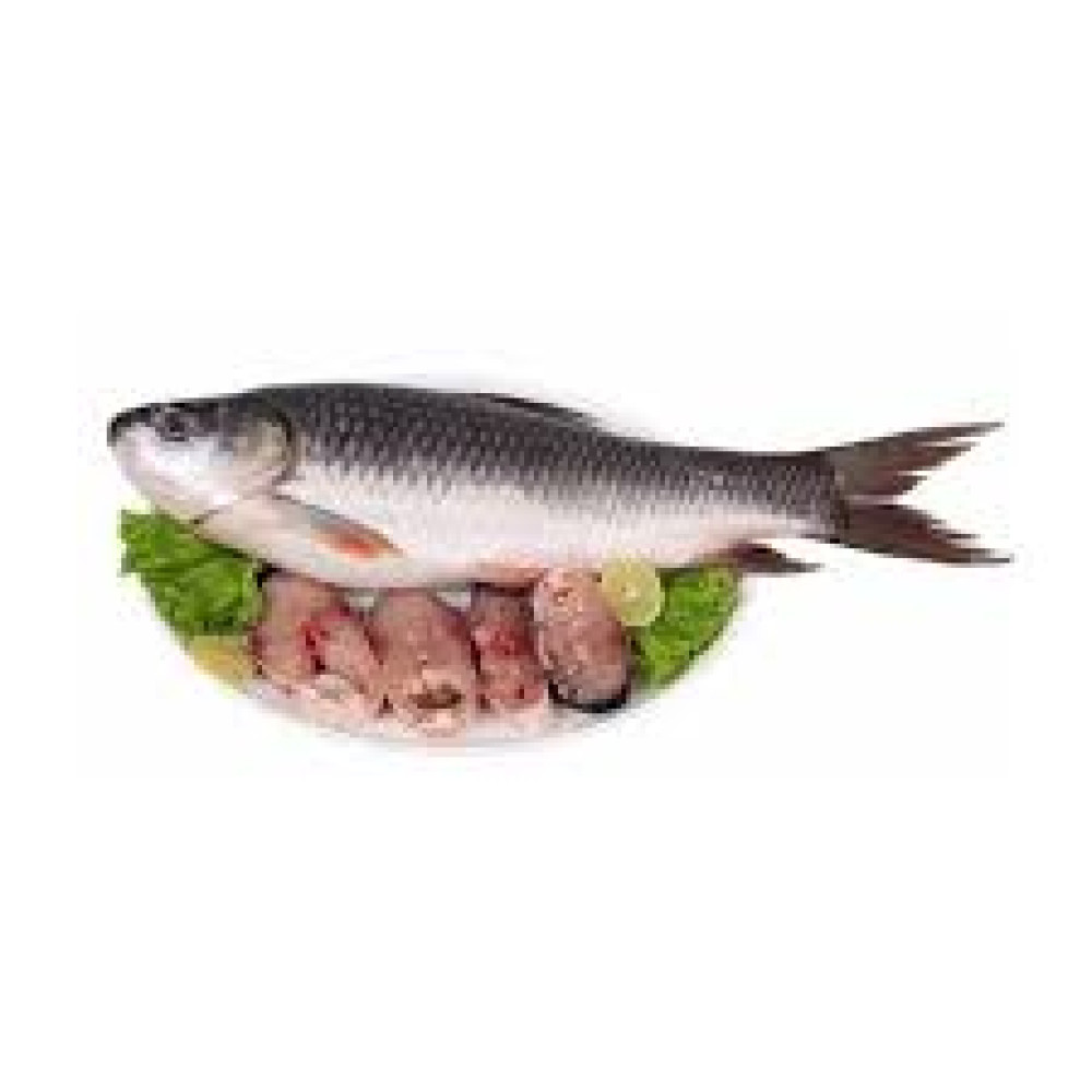 EGYPTIAN ROHU FISH (FRESH)