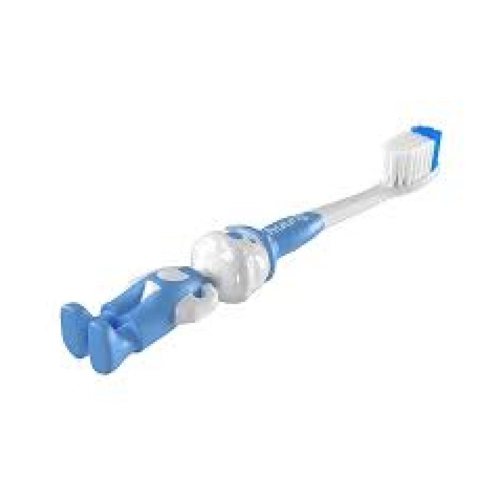SUNNY TOOTH BRUSH TB-107 (10 PCS JAR  SET) 889050