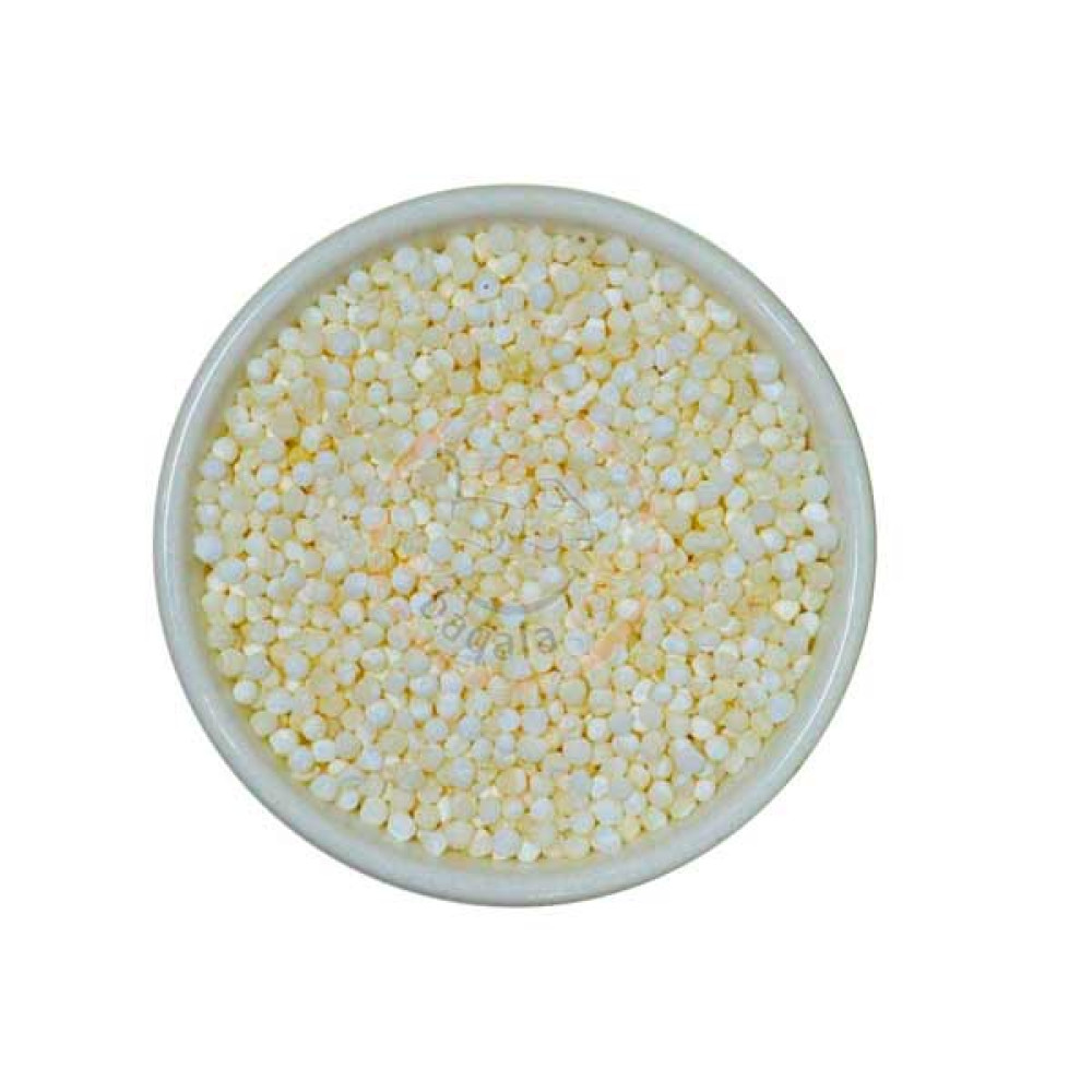 SAGO SEED BIG 100GM