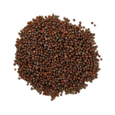 MUSTARD 100GM